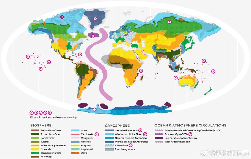 前几天，23个国家的160位科学家共同发布了一份《全球临界点报告》，里面有一个论断，全球变暖已经达到了第一个临界点，其显著标志是温水珊瑚礁大规模死亡