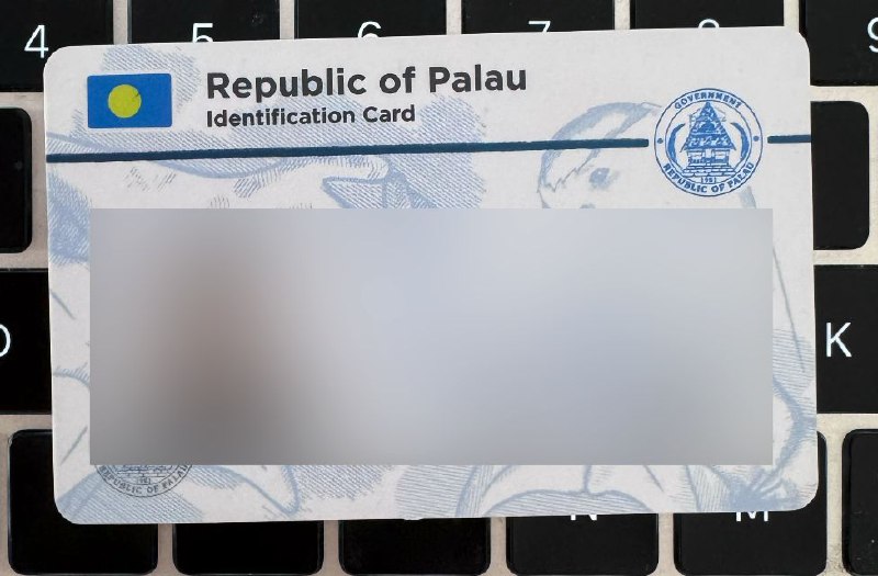 帕劳数字ID目前三个比较成熟的数字居民热门选项：爱沙尼亚、立陶宛、帕劳，其中帕劳是要求最低的，不需要护照，也不需要去大使馆（帕劳与中国也没有外交关系）目前，帕劳ID最实用的一点就是进行实名身份验证（KYC），这对某些限制区域参与的活动有帮助，比如注册常用的虚拟币交易所，开通国外银行账号等