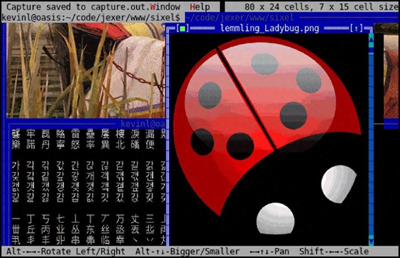 Sixel协议当SSH连接到远程机器时，通常无法将图像结果可视化，或者需要将数据移动到带有图形用户界面的本地设备上才能查看