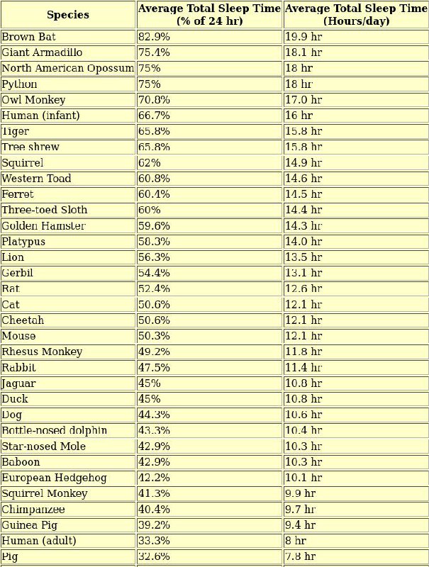 人类是睡眠很少的动物，猪居然比人类还勤快人类是睡眠很少的动物，猪居然比人类还勤快